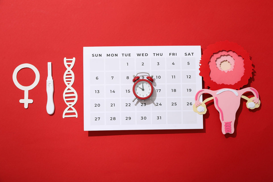 Comprendre le cycle menstruel : Comment mieux gérer votre fertilité et votre santé - VELUNA